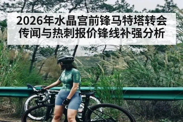 2026年水晶宫前锋马特塔转会传闻与热刺报价锋线补强分析